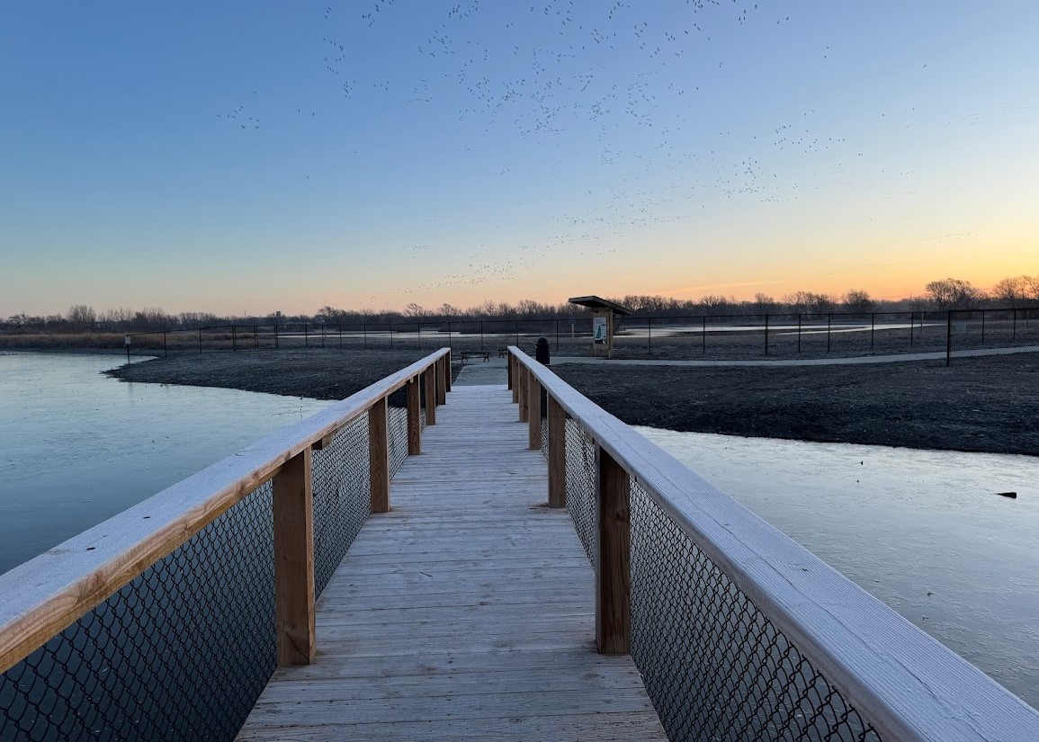 Rhoades Wetland Park